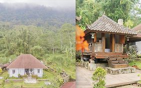 Four Monkeys House
